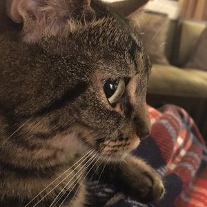 Meet your Posher, Kyoko